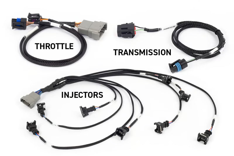 Haltech NEXUS Rebel LS Gen III Cable Throttle/EV1 Injectors/Manual Transmission HT-220201
