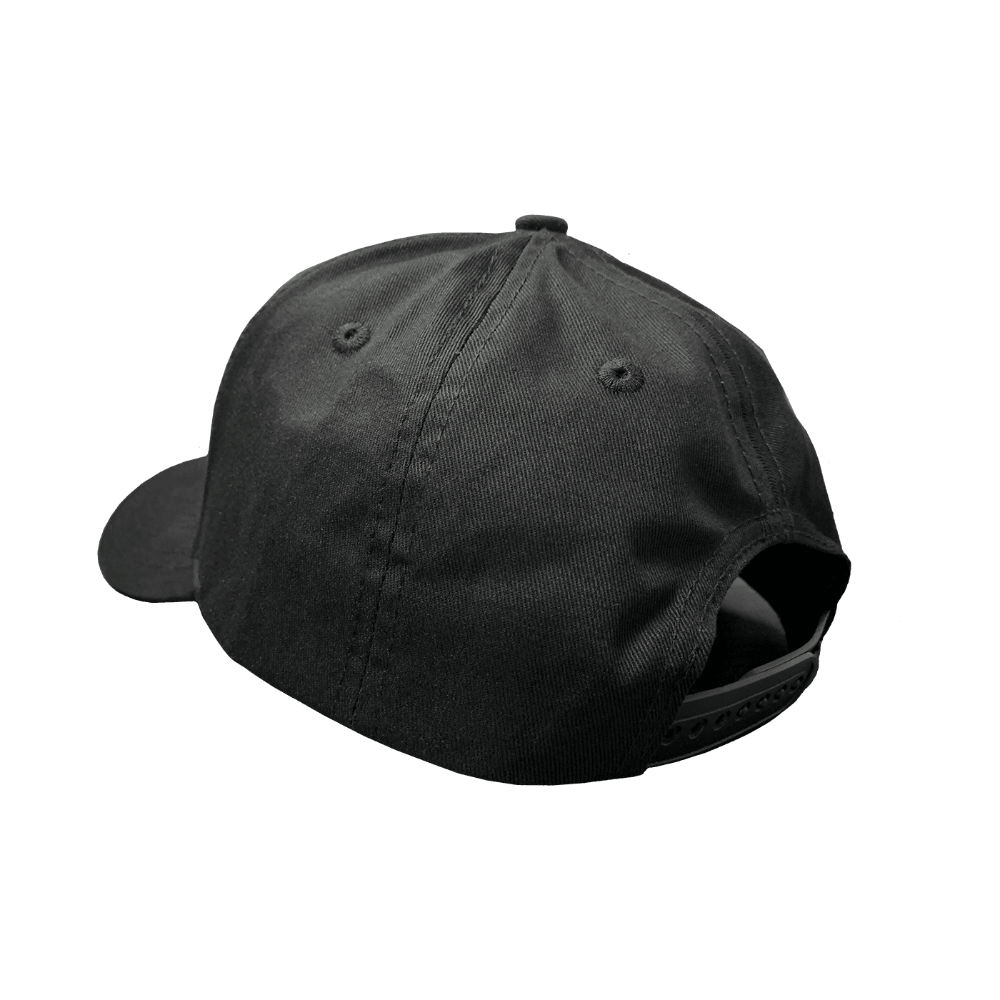 FuelTech Snapback Hat